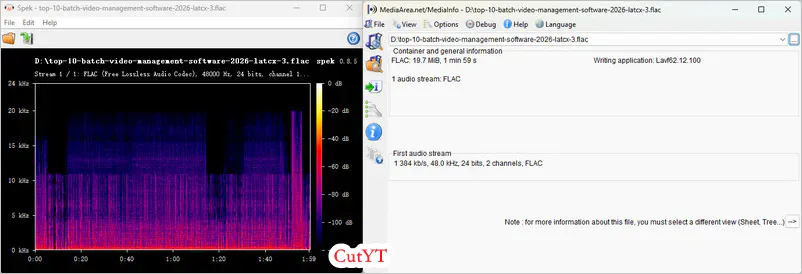cutyt youtube to flac