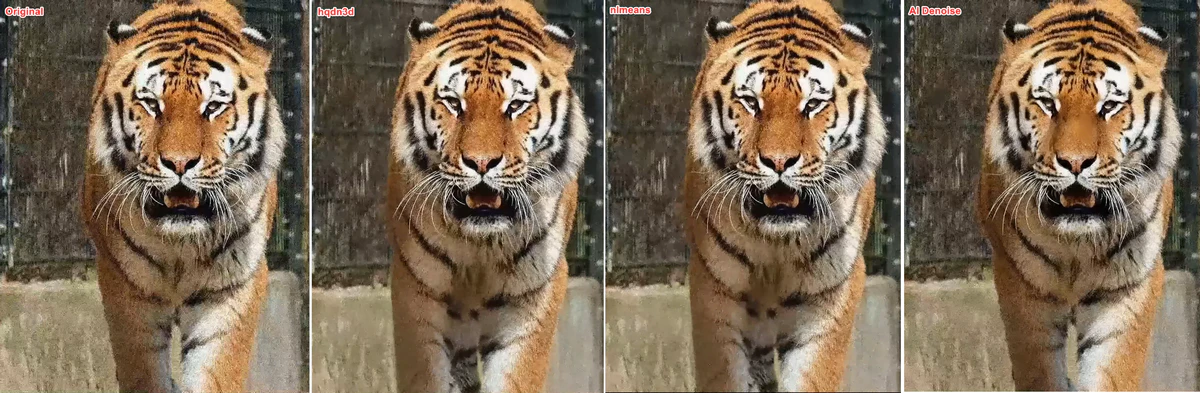 denoise video with denoise filter and ai model